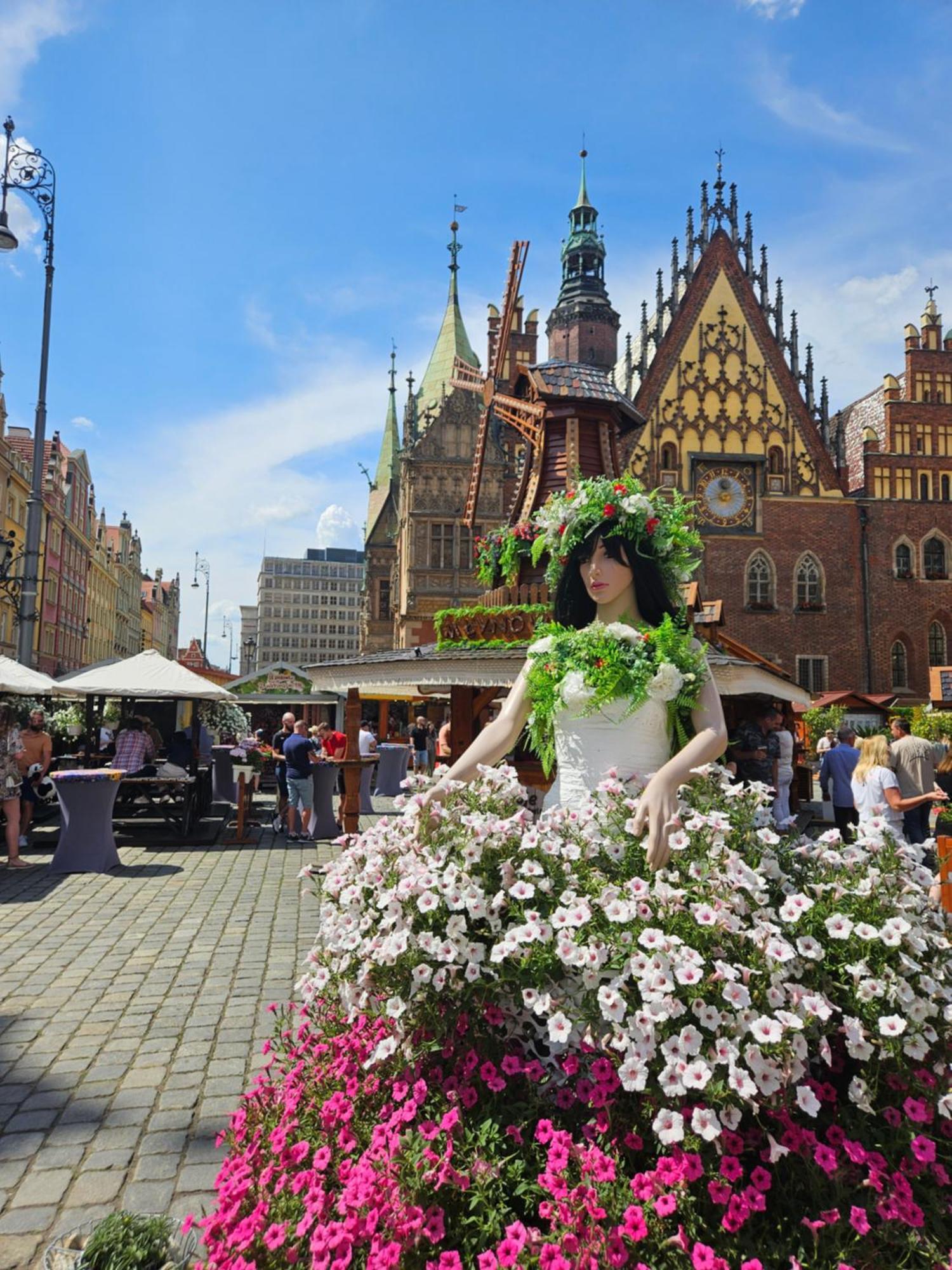 Apartamenty Hexus - Ofiar Oswiecimskich - Wroclaw Centrum Rynek Exteriör bild